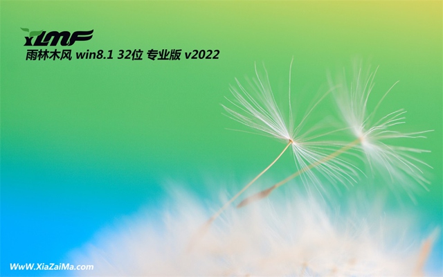 雨林木风最新32位win8.1绿色青年版v2021.12